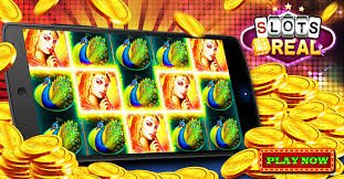 মোবাইল স্ক্রিনে 555ww apk নেভিগেশন ও পাঠ অভিজ্ঞতা